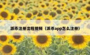 派币注册流程视频（派币app怎么注册）
