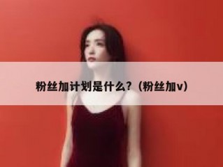 粉丝加计划是什么?（粉丝加v）