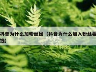 抖音为什么加粉丝团（抖音为什么加入粉丝要钱）
