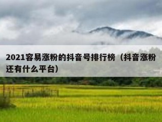 2021容易涨粉的抖音号排行榜（抖音涨粉还有什么平台）