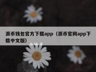 派币钱包官方下载app（派币官网app下载中文版）