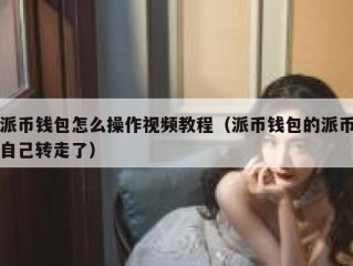 派币钱包怎么操作视频教程（派币钱包的派币自己转走了）