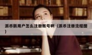 派币新用户怎么注册账号啊（派币注册流程图）