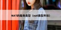 NAT的服务类型（nat类型开放）