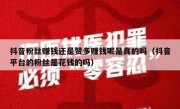 抖音粉丝赚钱还是赞多赚钱呢是真的吗（抖音平台的粉丝是花钱的吗）