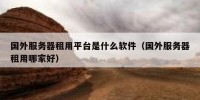 国外服务器租用平台是什么软件（国外服务器租用哪家好）