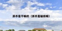 派币是干嘛的（派币是骗局嘛）