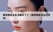 派币钱包怎么注册不了了（派币钱包怎么打不开）
