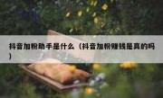 抖音加粉助手是什么（抖音加粉赚钱是真的吗）
