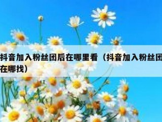 抖音加入粉丝团后在哪里看（抖音加入粉丝团在哪找）