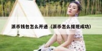 派币钱包怎么开通（派币怎么提现成功）