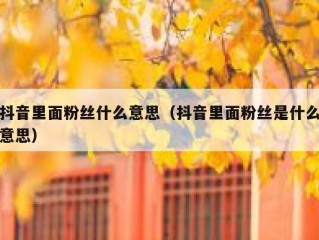 抖音里面粉丝什么意思（抖音里面粉丝是什么意思）