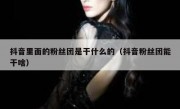 抖音里面的粉丝团是干什么的（抖音粉丝团能干啥）