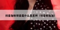 抖音加粉项目是什么意思啊（抖音粉加加）