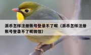 派币怎样注册账号登录不了呢（派币怎样注册账号登录不了呢微信）