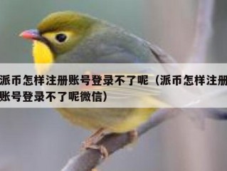 派币怎样注册账号登录不了呢（派币怎样注册账号登录不了呢微信）