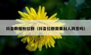 抖音数据粉拉群（抖音拉群需要别人同意吗）