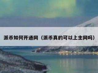 派币如何开通网（派币真的可以上主网吗）