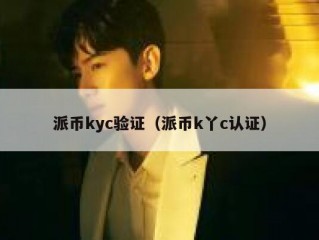 派币kyc验证（派币k丫c认证）
