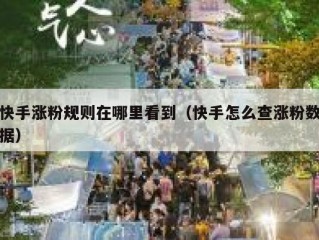 快手涨粉规则在哪里看到（快手怎么查涨粉数据）