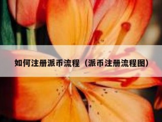 如何注册派币流程（派币注册流程图）