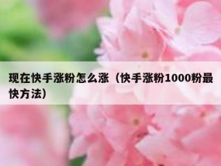 现在快手涨粉怎么涨（快手涨粉1000粉最快方法）