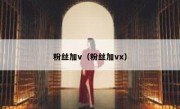 粉丝加v（粉丝加vx）