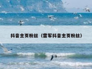 抖音主页粉丝（雷军抖音主页粉丝）