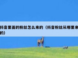 抖音里面的粉丝怎么来的（抖音粉丝从哪里来的）