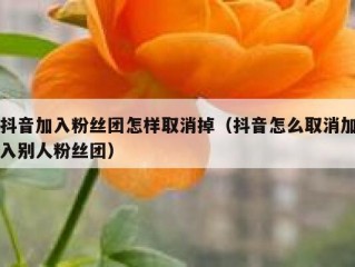 抖音加入粉丝团怎样取消掉（抖音怎么取消加入别人粉丝团）