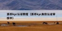 派币kyc认证教程（派币kyc身份认证审核中）