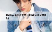 派币kyc是什么意思（派币kyc认证是什么）