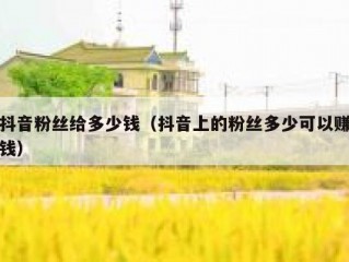 抖音粉丝给多少钱（抖音上的粉丝多少可以赚钱）