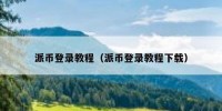 派币登录教程（派币登录教程下载）