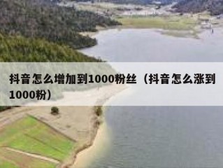 抖音怎么增加到1000粉丝（抖音怎么涨到1000粉）