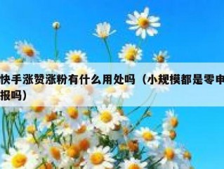 快手涨赞涨粉有什么用处吗（小规模都是零申报吗）