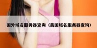 国外域名服务器查询（美国域名服务器查询）