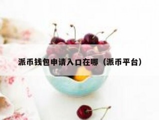 派币钱包申请入口在哪（派币平台）