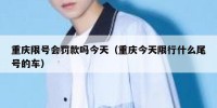 重庆限号会罚款吗今天（重庆今天限行什么尾号的车）