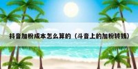 抖音加粉成本怎么算的（斗音上的加粉转钱）
