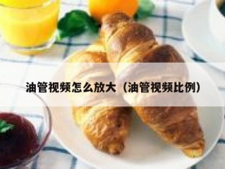 油管视频怎么放大（油管视频比例）