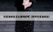 抖音加粉丝怎么赚钱的呢（如何抖音加粉丝）