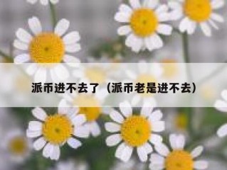 派币进不去了（派币老是进不去）