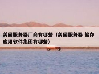 美国服务器厂商有哪些（美国服务器 储存 应用软件集团有哪些）