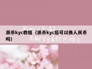 派币kyc教程（派币kyc后可以换人民币吗）