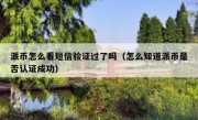 派币怎么看短信验证过了吗（怎么知道派币是否认证成功）