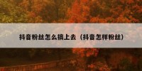 抖音粉丝怎么搞上去（抖音怎样粉丝）
