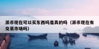 派币现在可以买东西吗是真的吗（派币现在有交易市场吗）