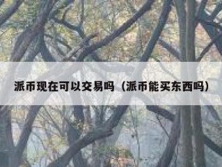 派币现在可以交易吗（派币能买东西吗）