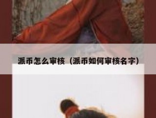 派币怎么审核（派币如何审核名字）